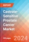 Castrate-Sensitive Prostate Cancer (CSPC) - Market Insight, Epidemiology and Market Forecast - 2034 - Product Image