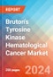 Bruton's Tyrosine Kinase Hematological Cancer - Market Insight, Epidemiology and Market Forecast - 2034 - Product Thumbnail Image