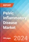 Pelvic Inflammatory Disease - Market Insight, Epidemiology and Market Forecast - 2034 - Product Image