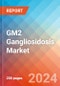 GM2 Gangliosidosis - Market Insight, Epidemiology and Market Forecast - 2034 - Product Image