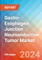 Gastro-Esophageal Junction Neuroendocrine Tumor (GEJ-NET) - Market Insight, Epidemiology and Market Forecast - 2034 - Product Image