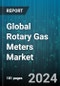 Global Rotary Gas Meters Market - Forecast 2024-2030 - Product Thumbnail Image