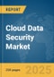 Cloud Data Security Market Report 2025 - Product Thumbnail Image