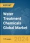 Water Treatment Chemicals Global Market Report 2024 - Product Image