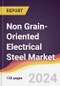 Non Grain-Oriented Electrical Steel Market Report: Trends, Forecast and Competitive Analysis to 2030 - Product Image