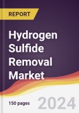 Hydrogen Sulfide Removal Market Report: Trends, Forecast and Competitive Analysis to 2030- Product Image