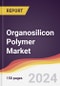 Organosilicon Polymer Market Report: Trends, Forecast and Competitive Analysis to 2030 - Product Image