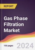 Gas Phase Filtration Market Report: Trends, Forecast and Competitive Analysis to 2030- Product Image