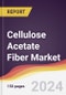 Cellulose Acetate Fiber Market Report: Trends, Forecast and Competitive Analysis to 2030 - Product Image