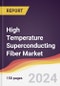 High Temperature Superconducting Fiber Market Report: Trends, Forecast and Competitive Analysis to 2030 - Product Image
