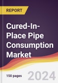 Cured-In-Place Pipe Consumption Market Report: Trends, Forecast and Competitive Analysis to 2030- Product Image