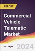 Commercial Vehicle Telematic Market Report: Trends, Forecast and Competitive Analysis to 2030- Product Image