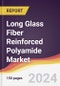 Long Glass Fiber Reinforced Polyamide Market Report: Trends, Forecast and Competitive Analysis to 2030 - Product Image