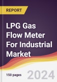 LPG Gas Flow Meter For Industrial Market Report: Trends, Forecast and Competitive Analysis to 2030- Product Image