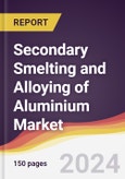 Secondary Smelting and Alloying of Aluminium Market Report: Trends, Forecast and Competitive Analysis to 2030- Product Image