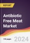 Antibiotic Free Meat Market Report: Trends, Forecast and Competitive Analysis to 2030 - Product Thumbnail Image