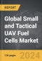 Small and Tactical UAV Fuel Cells - Global Strategic Business Report - Product Image