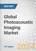 Global Photoacoustic Imaging Market by Product (Imaging System, Transducer, Software, Accessories), Technology (Microscopy, Tomography), Type (Preclinical, Clinical), Application (Oncology, Neuro), End User (Hospitals, Academia) & Region Forecast to 2029- Product Image