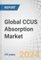 Global CCUS Absorption Market by Absorption Type (Chemical Absorption, Physical Absorption), End-Use Industry (Oil & Gas, Power Generation, Chemical & Petrochemical, Cement, Iron & Steel), and Region - Forecast to 2030 - Product Thumbnail Image
