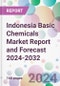 Indonesia Basic Chemicals Market Report and Forecast 2024-2032 - Product Image