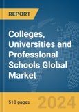 Colleges, Universities and Professional Schools Global Market Opportunities and Strategies to 2033- Product Image