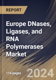 Europe DNases, Ligases, and RNA Polymerases Market Size, Share & Trends Analysis Report By DNases Application, By Ligases Application (Oligonucleotide Synthesis and Others), By RNA Polymerases Application, By Country and Growth Forecast, 2024 - 2031- Product Image