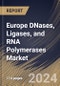 Europe DNases, Ligases, and RNA Polymerases Market Size, Share & Trends Analysis Report By DNases Application, By Ligases Application (Oligonucleotide Synthesis and Others), By RNA Polymerases Application, By Country and Growth Forecast, 2024 - 2031 - Product Image