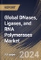 Global DNases, Ligases, and RNA Polymerases Market Size, Share & Trends Analysis Report By DNases Application, By Ligases Application (Oligonucleotide Synthesis and Others), By RNA Polymerases Application, By Regional Outlook and Forecast, 2024 - 2031 - Product Image