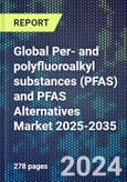 Global Per- and polyfluoroalkyl substances (PFAS) and PFAS Alternatives Market 2025-2035- Product Image