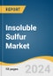 Insoluble Sulfur Market Size, Share & Trends Analysis Report By Grade, By Application, By Region, And Segment Forecasts, 2025 - 2030 - Product Thumbnail Image