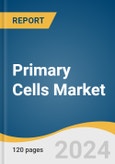 Primary Cells Market Size, Share & Trends Analysis Report by Origin (Human, Animal), Type (Hematopoietic Cells, Skin Cells, Gastrointestinal Cells), Application (Regenerative Medicine), End-use, Region, and Segment Forecasts, 2024-2030- Product Image