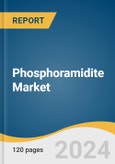 Phosphoramidite Market Size, Share & Trends Analysis Report by Type (DNA Phosphoramidites, RNA Phosphoramidites), Application (Drug Discovery & Development, Diagnostics Development), End-use, Region, and Segment Forecasts, 2024-2030- Product Image