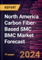 North America Carbon Fiber-Based SMC BMC Market Forecast to 2030 - Regional Analysis - by Resin Type (Polyester, Vinyl Ester, Epoxy, and Others) and End-Use Industry (Automotive, Aerospace, Electrical and Electronics, Building and Construction, and Others) - Product Image