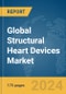 Global Structural Heart Devices Market Report 2024 - Product Image