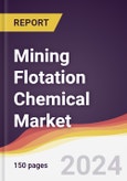 Mining Flotation Chemical Market Report: Trends, Forecast and Competitive Analysis to 2030- Product Image