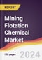 Mining Flotation Chemical Market Report: Trends, Forecast and Competitive Analysis to 2030 - Product Image