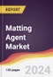 Matting Agent Market Report: Trends, Forecast and Competitive Analysis to 2030 - Product Thumbnail Image