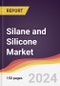 Silane and Silicone Market Report: Trends, Forecast and Competitive Analysis to 2030 - Product Thumbnail Image