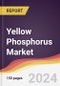 Yellow Phosphorus Market Report: Trends, Forecast and Competitive Analysis to 2030 - Product Image