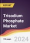 Trisodium Phosphate Market Report: Trends, Forecast and Competitive Analysis to 2030 - Product Thumbnail Image