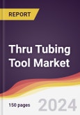 Thru Tubing Tool Market Report: Trends, Forecast and Competitive Analysis to 2030- Product Image