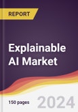 Explainable AI Market Report: Trends, Forecast and Competitive Analysis to 2030- Product Image