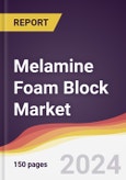 Melamine Foam Block Market Report: Trends, Forecast and Competitive Analysis to 2030- Product Image