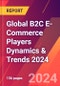 Global B2C E-Commerce Players Dynamics & Trends 2024 - Product Thumbnail Image