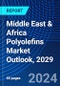 Middle East & Africa Polyolefins Market Outlook, 2029 - Product Thumbnail Image