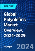 Global Polyolefins Market Overview, 2024-2029- Product Image