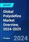 Global Polyolefins Market Overview, 2024-2029 - Product Thumbnail Image