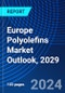 Europe Polyolefins Market Outlook, 2029 - Product Thumbnail Image