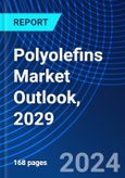 Polyolefins Market Outlook, 2029- Product Image