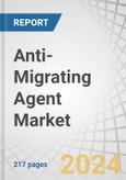 Anti-Migrating Agent Market by Type (Non-ionic, Anionic, Cationic, Amphoteric), Grades (Technical, Food, Pharmaceutical), Application, Chemistry (Organic, Inorganic), End-Use Industry (Textile, Plastics, Paper), and Region - Forecast to 2029- Product Image